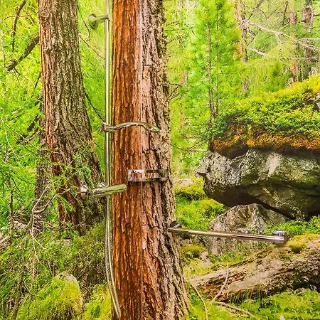 Praschhof * Mariapfarr