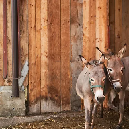 Praschhof Фермерский дом *