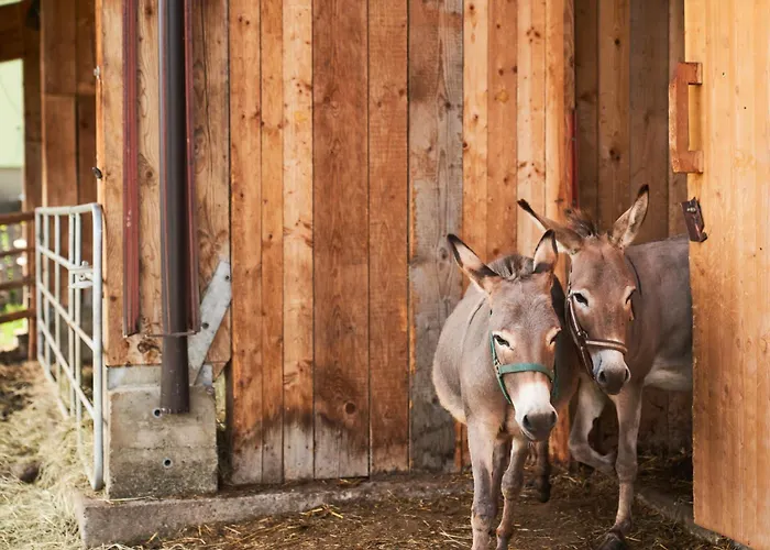 Praschhof مزرعة للإقامة *